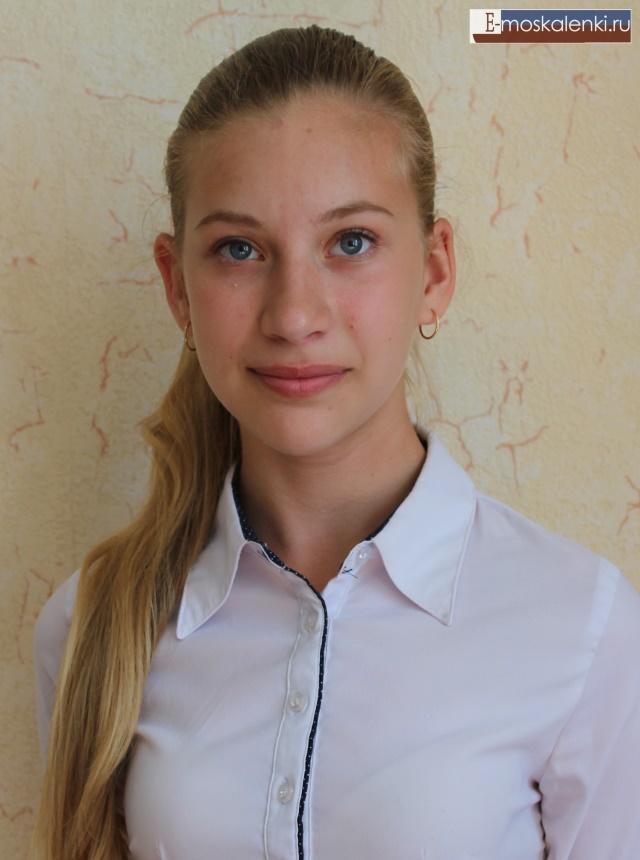 Животенко